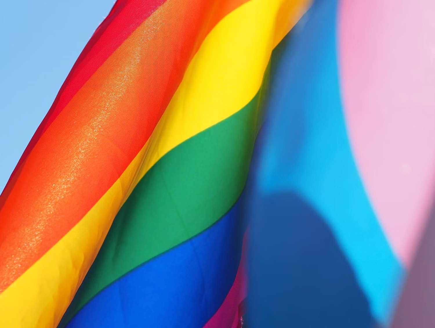 Colorful pride flags waving in the breeze.